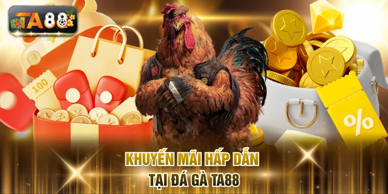 Khuyến mãi hấp dẫn tại đá gà TA88