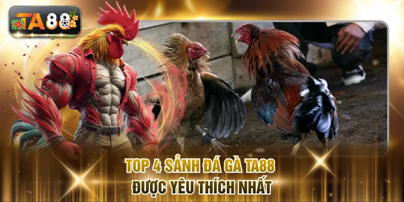 Top 4 sảnh đá gà TA88 được yêu thích nhất